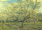 Vincent van Gogh Orchard with Blossoming Plum Trees painting